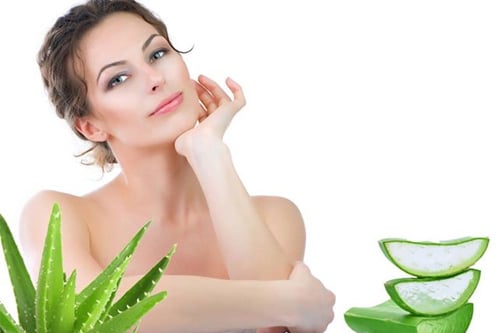 Nhờ kết cấu mỏng nhẹ, lô hội dễ dàng thẩm thấu vào các lớp biểu bì mà không để lại màng dầu dư thừa. 