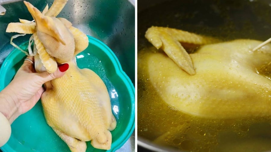 Để luộc gà cúng vào các dịp lễ Tết, bạn nên chọn gà trống.