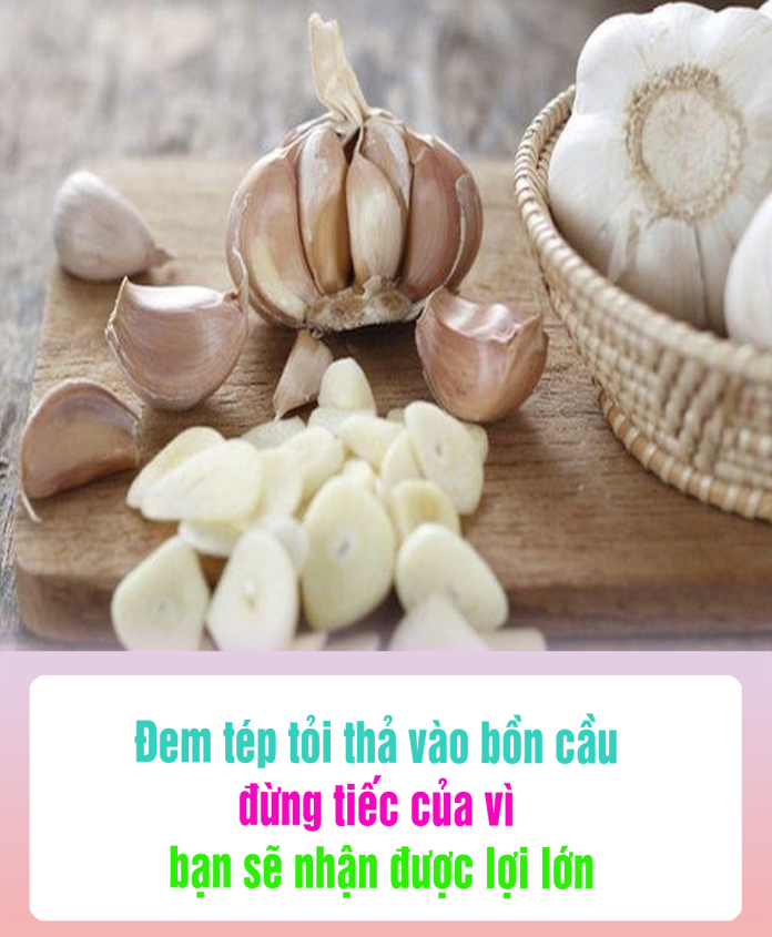 Đem tép tỏi thả vào bồn cầu, đừng tiếc của vì bạn sẽ nhận được lợi lớn