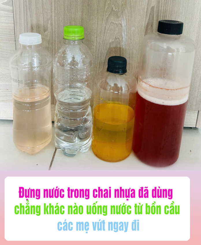 Đựng nước trong chai nhựa đã dùng chẳng khác nào uống nước từ bồn cầu, các mẹ vứt ngay đi
