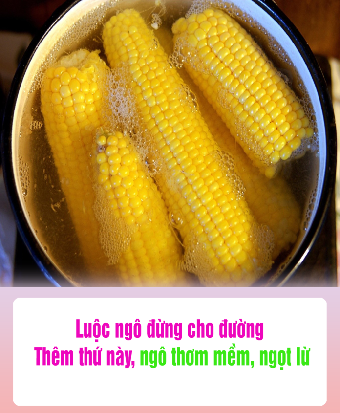 Luộc ngô đừng cho đường