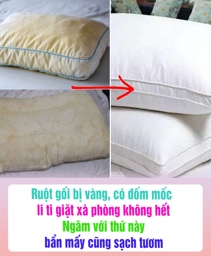 Ruột gối bị vàng, có đốm mốc li ti giặt xà phòng không hết