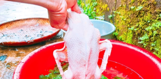 Vò nắm lá này thả vào chậu nước: Nhổ lông vịt siêu nhanh, không còn một cọng lông măng, hết sạch mùi hôi