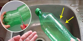 Cắt đôi chai nhựa rồi đặt vào bồn rửa bát: Công dụng rất hay, biết được nhà nhà học theo