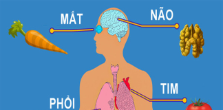 Ăn gì để tốt cho từng bộ phận trên cơ thể?