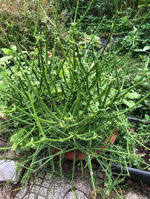 476800304_122217144632233392_4396995367916938534_n (3)