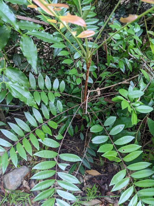 494960249_122238534788233392_4939868955844146315_n (6)