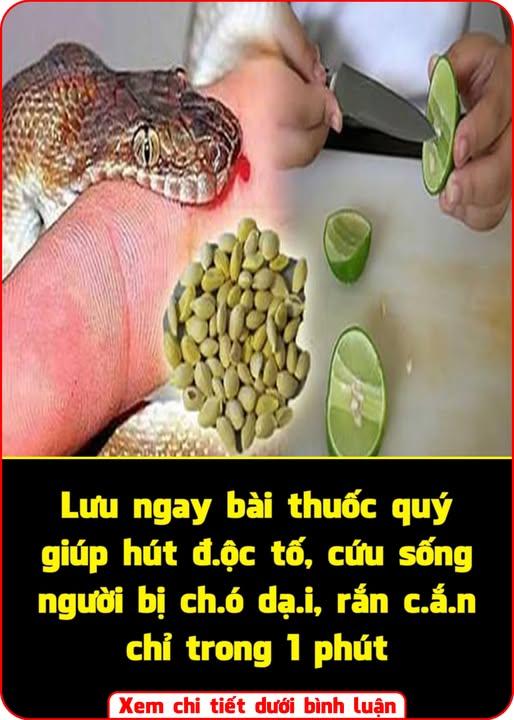 502149017_1111738200995114_421837362329952481_n (3)