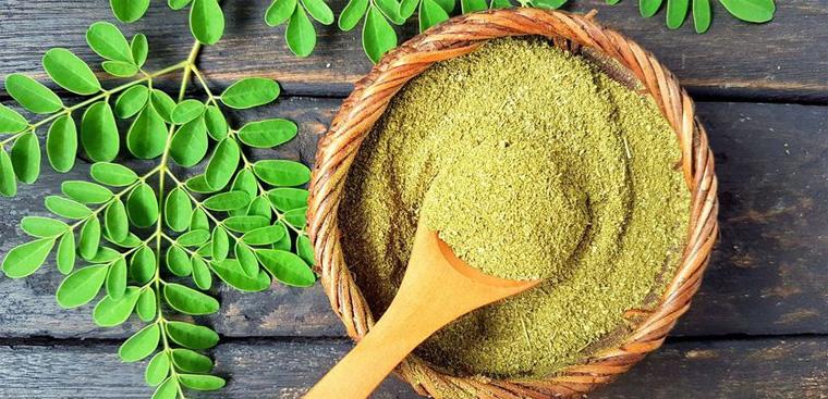 Cách làm bột chùm ngây tại nhà đơn giản an toàn, tốt cho sức khỏe