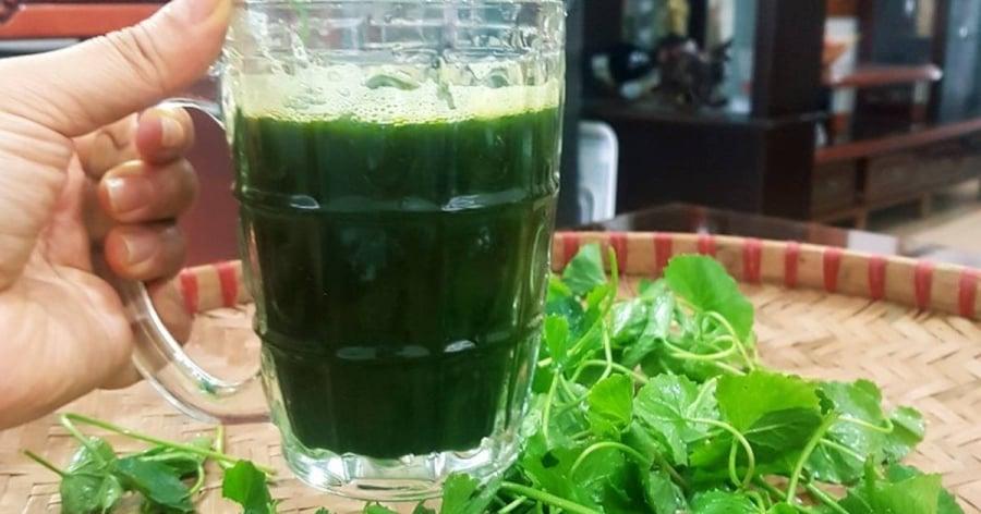 Nước ép rau má là một thức uống giải nhiệt, tốt cho sức khỏe, được nhiều người yêu thích, đặc biệt là trong những ngày hè nóng bức. 