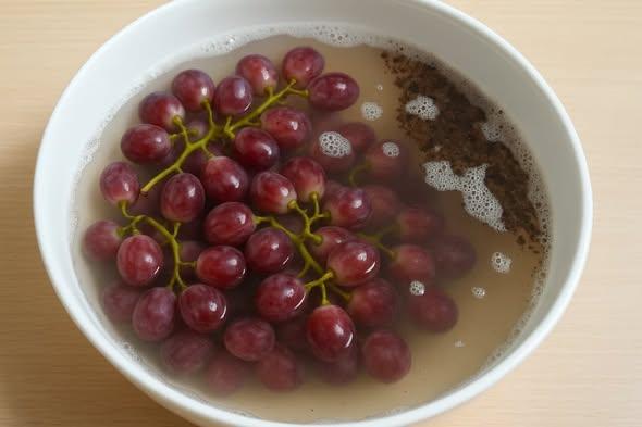 565136570_122257628702181902_1122277176180037209_n