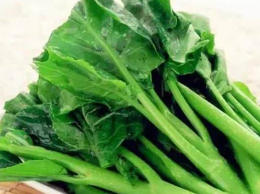 rau ᴜng thư, ᴜng thư