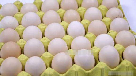 trứng, trứng gà, trứng ngon