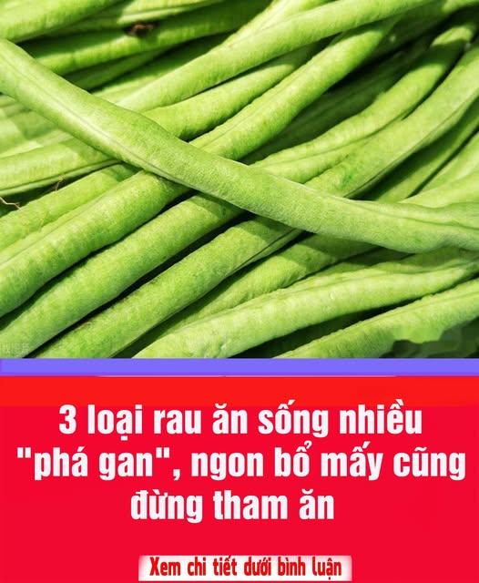 590679080_1265878105571243_6879714519916533418_n