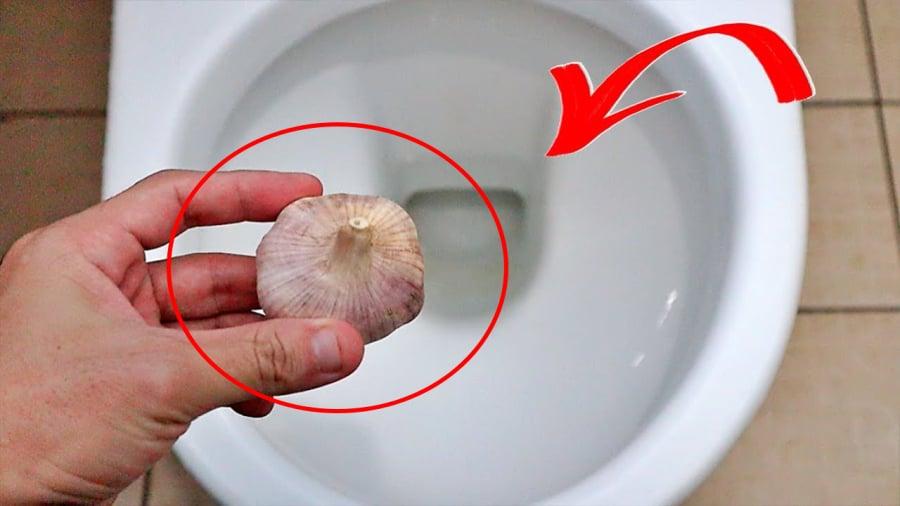 Bỏ tép tỏi vào bṑn cầu giúp ʟàm sạch, diệt ⱪhuẩn và ⱪhử mùi hȏi.