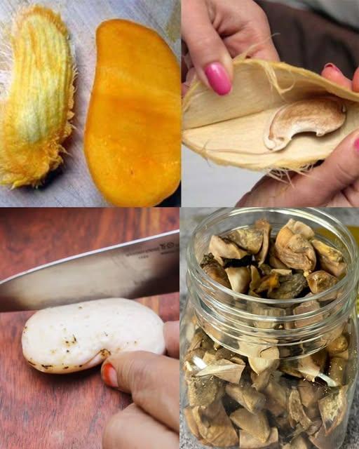 593304211_845144481599854_4360933551739740778_n