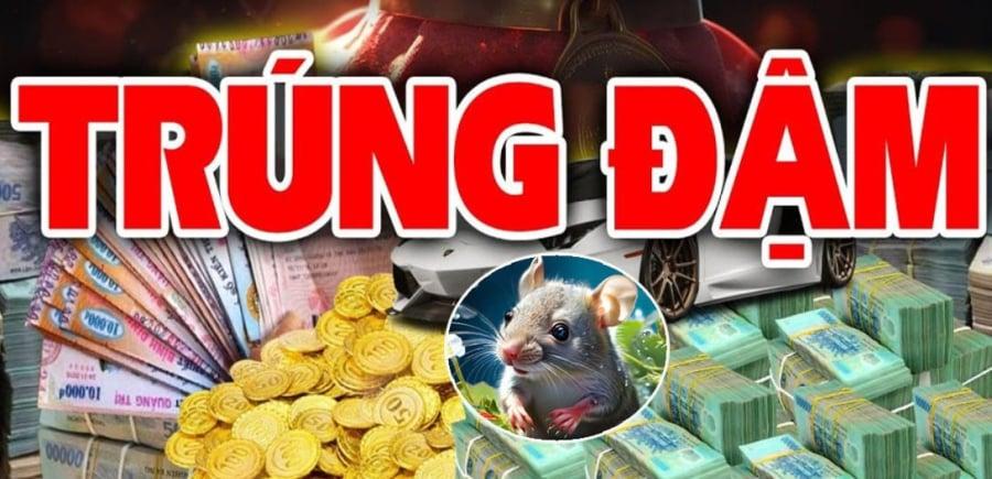 Tuổi Tý may mắn từ nay tới 30 Tết 