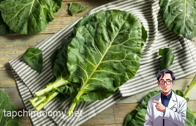 3 thực phẩm giàu collagen bạn nhất ᵭịnh khȏng ᵭược lãng phí (Nguṑn: suckhoedoisong.vn)