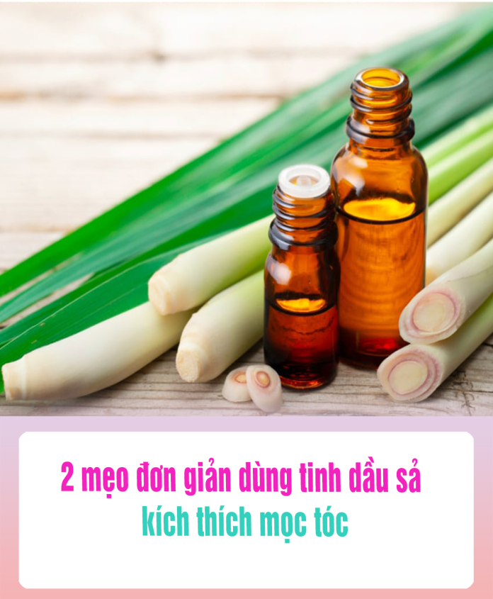 2 mẹo đơn giản dùng tinh dầu sả kích thích mọc tóc