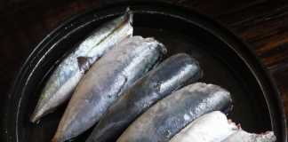 3 loại hải sản phổ biến và rất rẻ này, chuyên gia khuyến khích tăng cường ăn, vì chúng rất giàu canxi