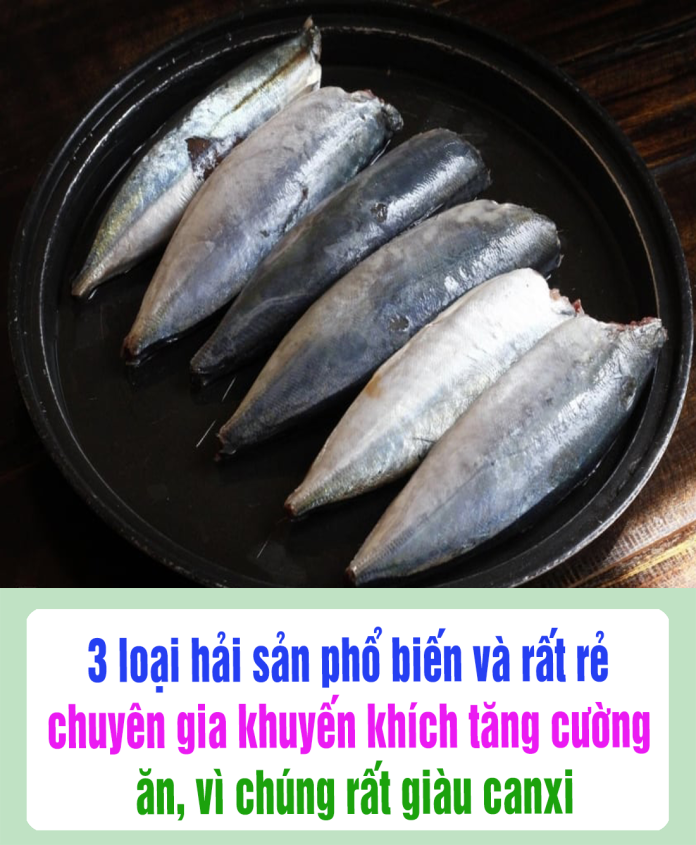 3 loại hải sản phổ biến và rất rẻ này, chuyên gia khuyến khích tăng cường ăn, vì chúng rất giàu canxi