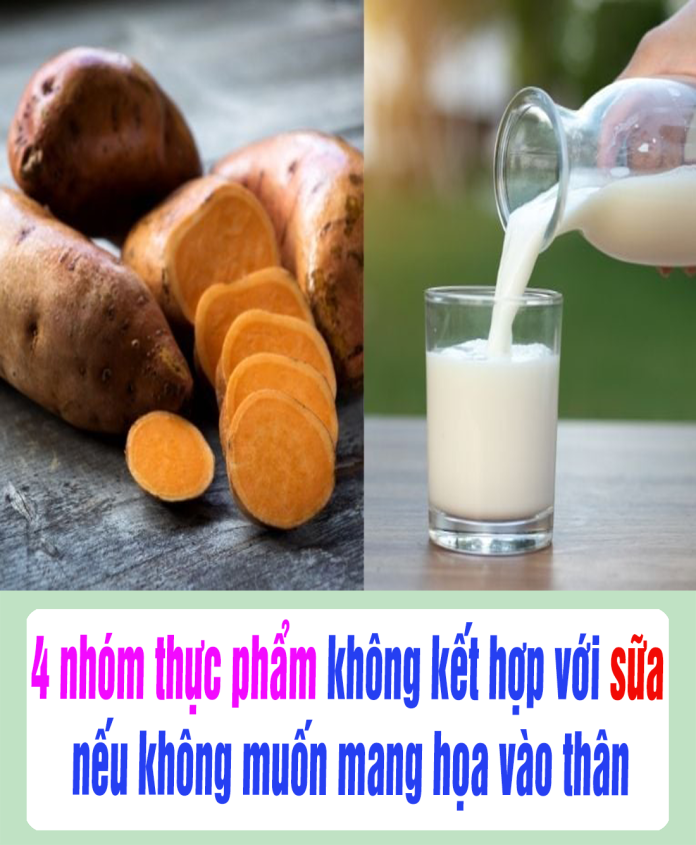 4 nhóm thực phẩm không kết hợp với sữa, nếu không muốn mang họa vào thân