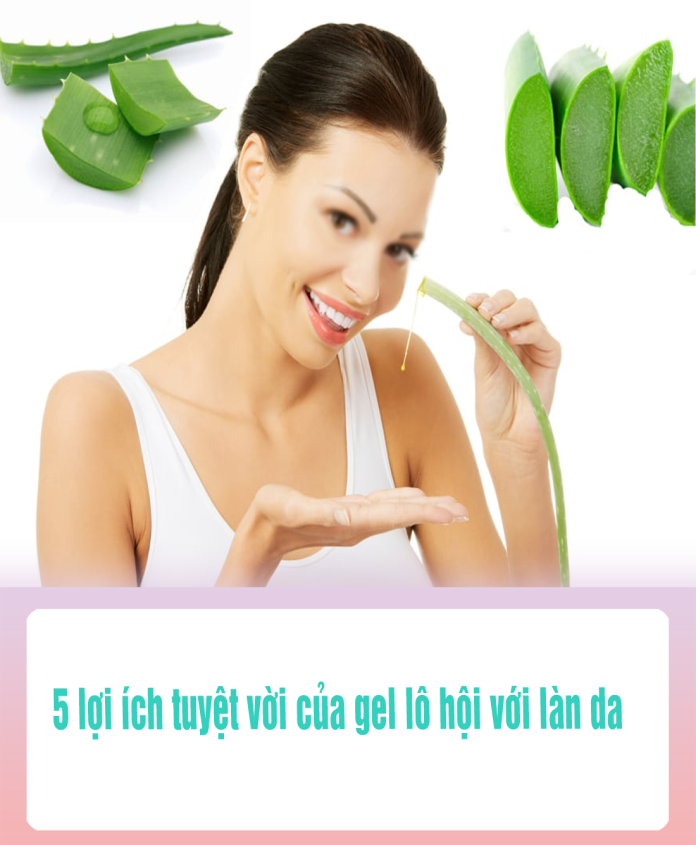 5 lợi ích tuyệt vời của gel lô hội với làn da