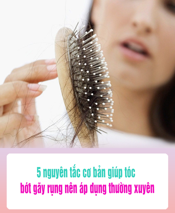 5 nguyên tắc cơ bản giúp tóc bớt gãy rụng nên áp dụng thường xuyên