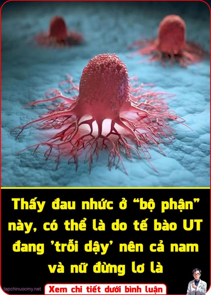 560573834_1262997185845135_1439264531837373112_n