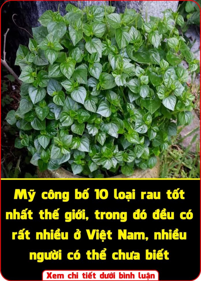 561087007_1261896139288573_4570354517417688603_n