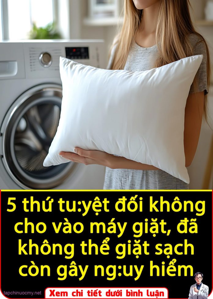 561171053_1262220469256140_6551844891871350433_n