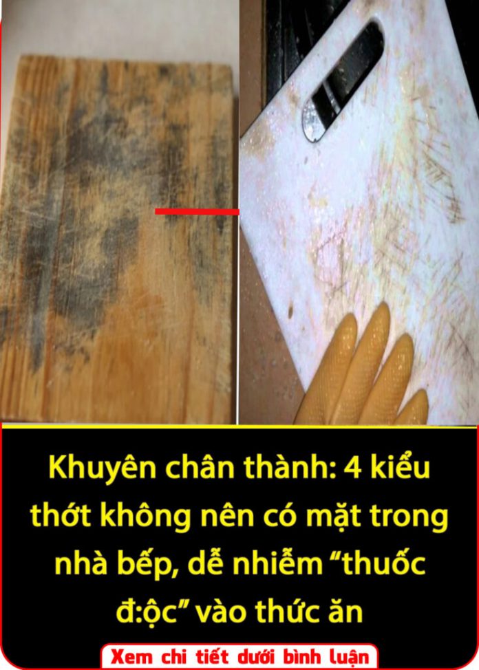 561189063_1261415869336600_712860896637741019_n