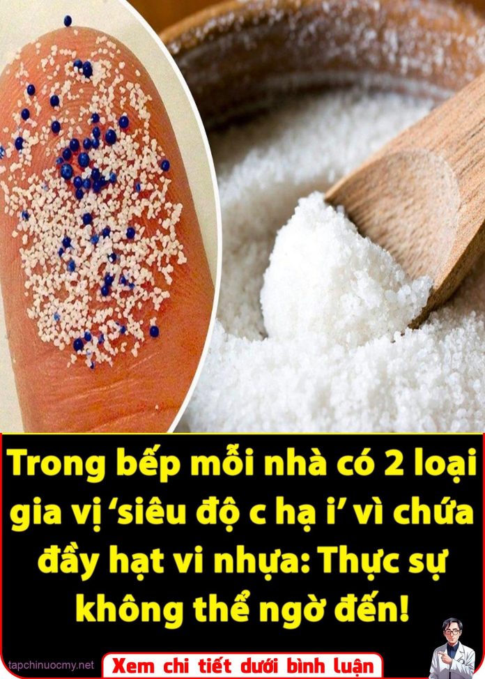 561565115_1262146715930182_7279546361935245094_n