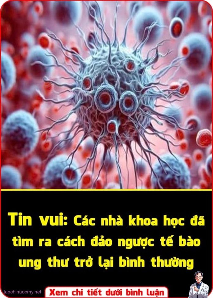 561717231_1262918445853009_459176546479896253_n