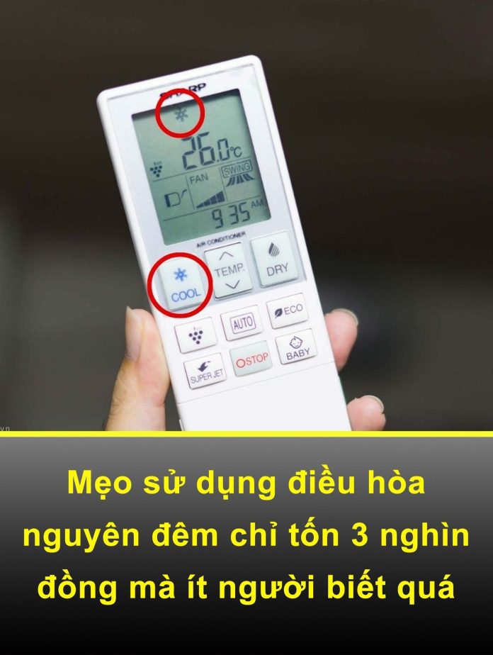 562333740_1261458179332369_8737426157327386131_n