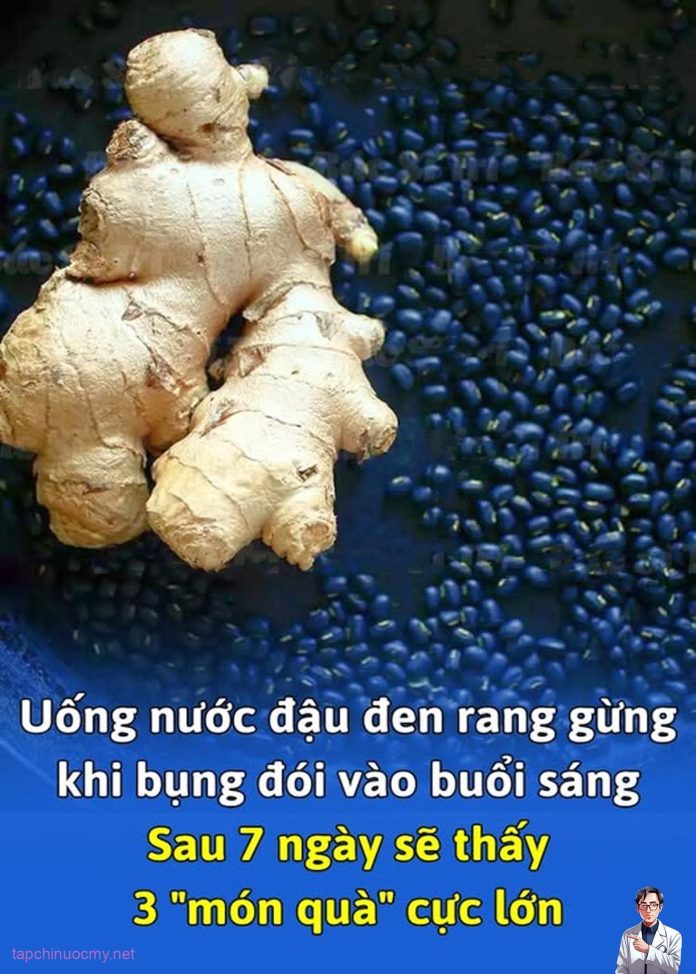 562412033_1261856425959211_4176769260063456365_n