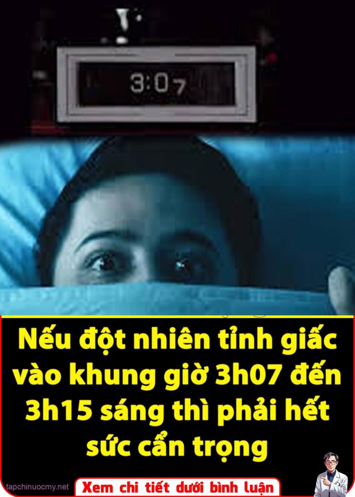 565133361_1261791785965675_1475233450675344540_n