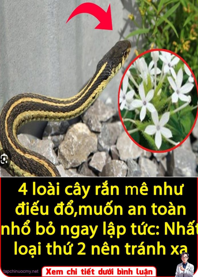 565204293_1262996589178528_4809866908842696224_n