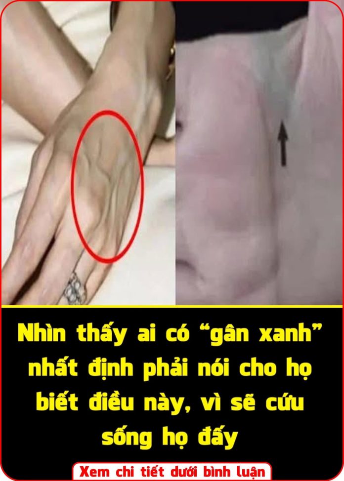 565705591_1263150915829762_3878885533518437217_n