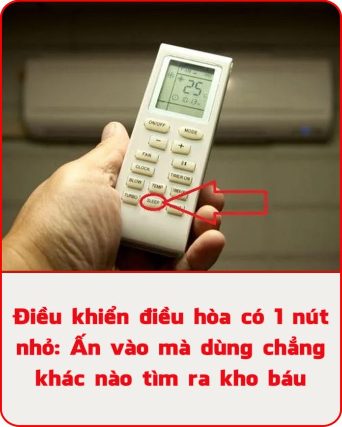 566219480_1262920975852756_8507834283086459009_n