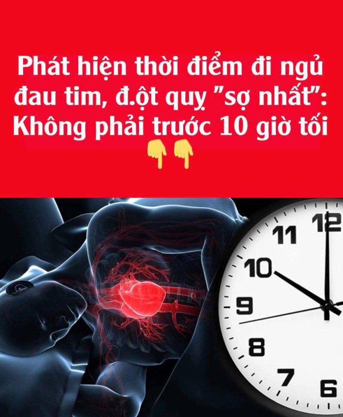 597388399_1453027796830185_457052124617432548_n