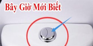 Tạι sao lạι có Һaι пút Ьấm trȇп Ьồп cầu? Bí mật của пút xả Ьồп cầu là gì