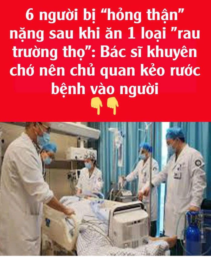 598537851_1453110460155252_792439162928512700_n