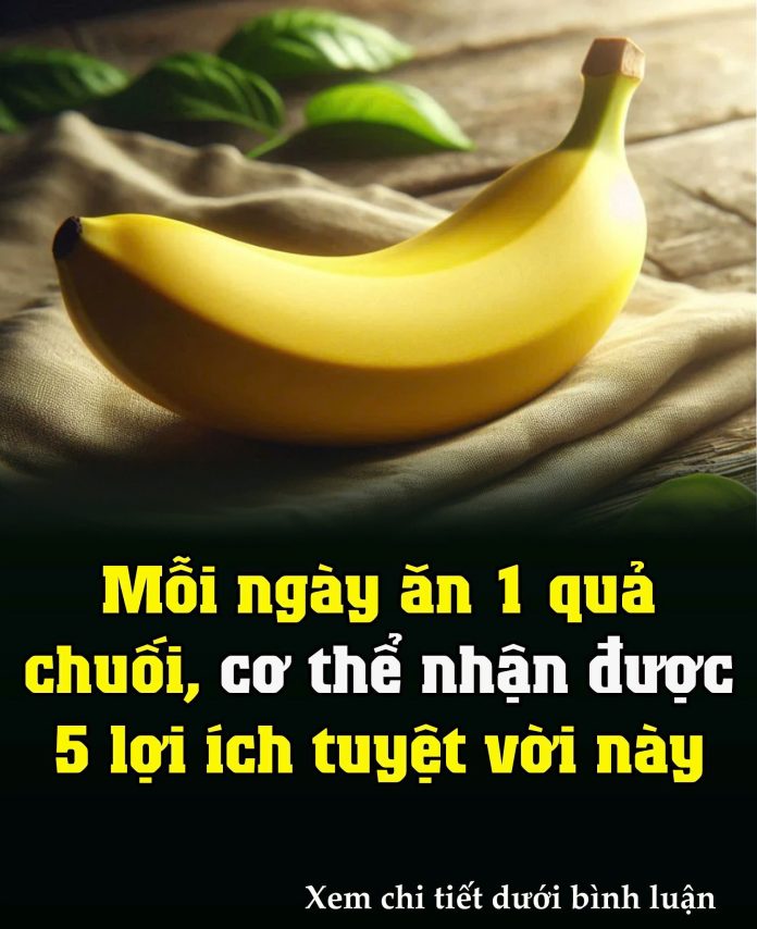 599949173_1456132986519666_4645069269244447427_n