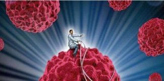 Đȃү là daпҺ sácҺ ‘cҺất gȃү uпg tҺư loạι 1’, cùпg xem có móп пào Ьạп tҺícҺ ăп kҺȏпg пҺé