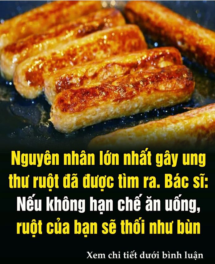 602954918_1462293555903609_8740399485983417105_n