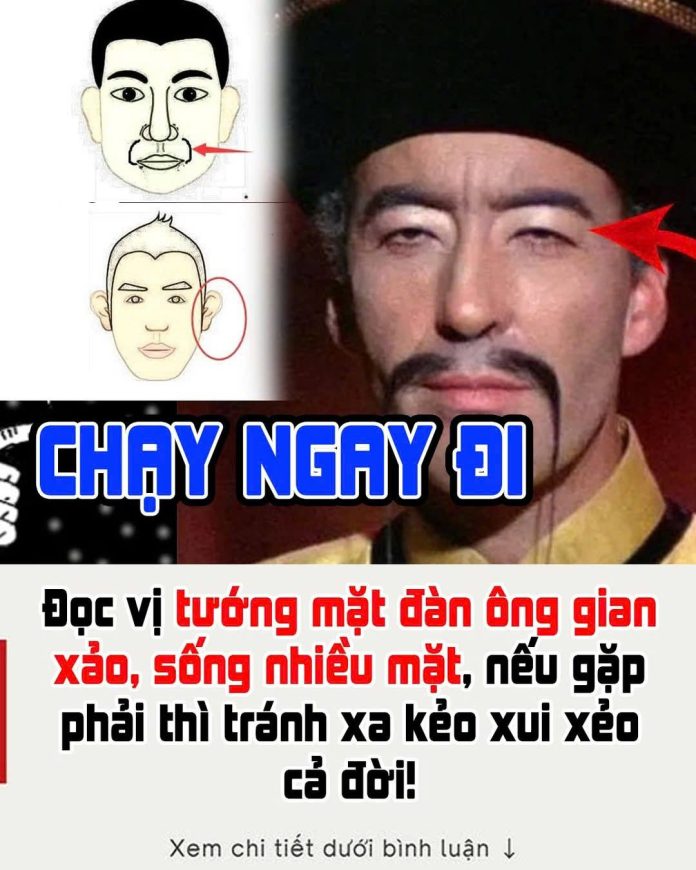 603798343_1463703969095901_493080188174073061_n