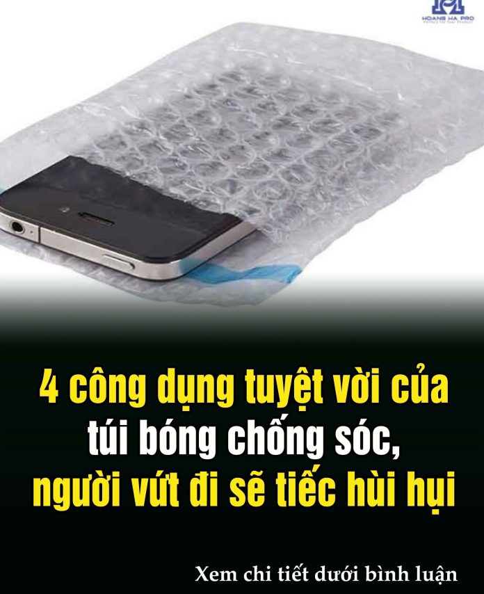 603916830_1461817985951166_5595688833416286695_n