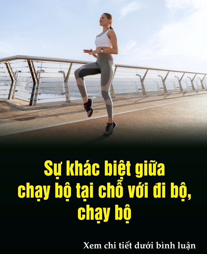 605624776_1464742938992004_490127827013065460_n