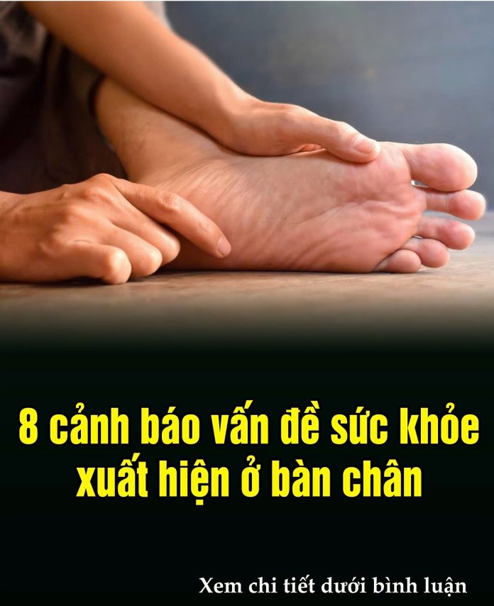 605731897_1464743012325330_3536354530985868807_n